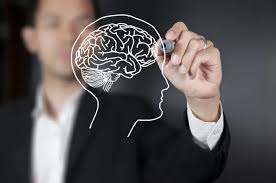 Brain Health 2025 Rahasia Punya Otak Tajam, Fokus, dan Anti Burnout di Era Digital